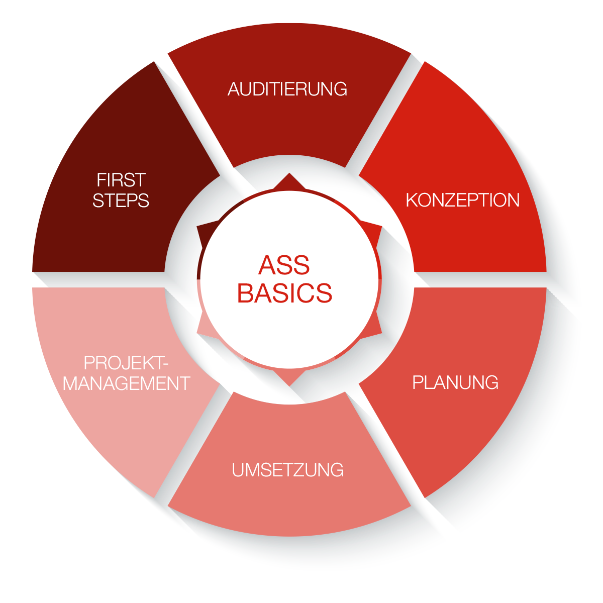 Grafik ASS Basics